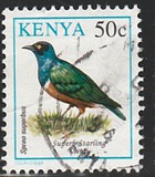 [Birds, 類型 VA]