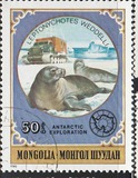 [Antarctic Exploration, type ZWJ]