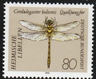 [Goldsmith, タイプ AXS]