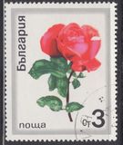 [Roses, tegund BPZ]