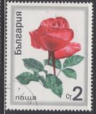 [Roses, tegund BPY]