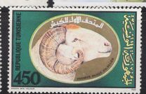 [Ram Museum, type ACR]