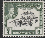 [The 25th Anniversary of the Reign of Sadeq Mohammad Khan V, タイプ N]