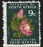 [Local Motifs, type LK1]