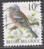 [Birds, type BNI]