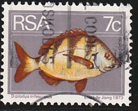 [Flora and Fauna, type NM]