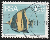 [Flora and Fauna, type NO]