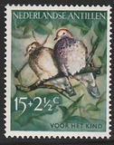 [Indigenous Birds, ประเภท AS]