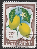 [Fruits in Natural Colors, tegund L]
