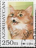 [Cats, type GP]