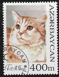 [Cats, type GR]