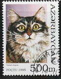 [Cats, type GS]
