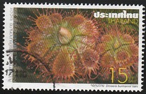 [International Letter Writing Week, Tip DLV]