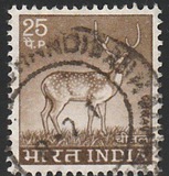 [Spotted Deer, type PE]