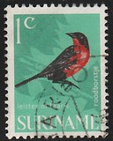 [Birds, Tipi WC]