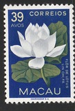[Indigenous Flowers, Tip CO]