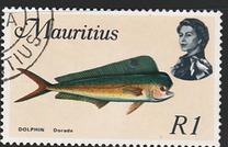 [Marine Life, ประเภท FL]