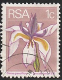 [Flora and Fauna, type NG]