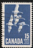 [Canada Geese, タイプ JI]