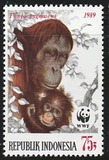 [Endangered Animals - The Orangutan, type AXB]