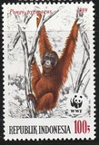 [Endangered Animals - The Orangutan, type AXC]