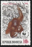 [Endangered Animals - The Orangutan, type AXD]