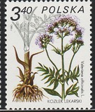 [Therapeutic Plants, ประเภท CIK]