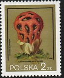 [Protected Poisonous Mushrooms, típus CHV]