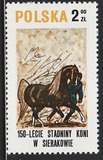 [The 150th Anniversary of Horse Riding in Sieraków, tegund CGT]