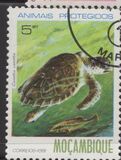 [Protected Animals, type QE]