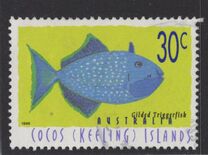 [Fish, tegund ML]