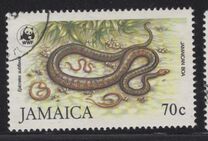 [WWF - Jamaican Boas, Вид VA]