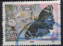 [Butterflies, տեսակ AFI]