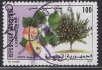 [Fruit Trees, type AMA]