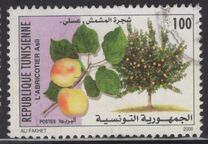 [Fruit Trees, τύπος AMA]