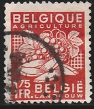 [National Industry, type NP]