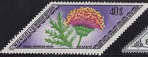 [Rare Medicinal Plants, тып AGH]