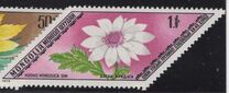 [Rare Medicinal Plants, тып AGK]