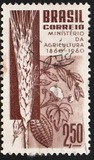 [The 100th Anniversary of the Brazilian Ministry of Agriculture, тып AJR]