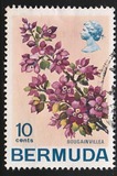 [Flowers, type EI]