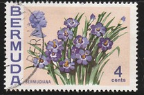 [Flowers, type EE]