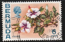 [Flowers, type EG]