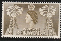 [Local Motives and Queen Elizabeth II, type AX]