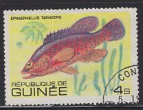 [Fish, Tip UZ]