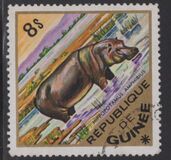 [Wild Animals, 类型 QB]