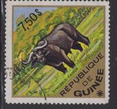 [Wild Animals, 类型 QA]