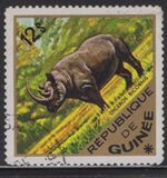 [Wild Animals, 类型 QD]