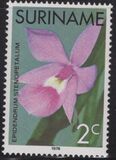 [Surinam Orchids, 유형 AGD]