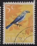 [Birds, ประเภท WG]