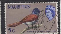 [Birds & Elizabeth II, тып CY]
